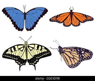 Set von realistischen schönen Schmetterlingen Vektor-Illustration. Sammlung von Motten gelb orange blau und beige. Symmetrisch anmutige Schmetterlinge. Stock Vektor