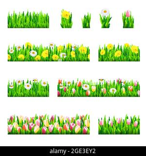 Große Reihe von nahtlosen Rändern mit Gras und Blumen, Vektor-Illustration Stock Vektor
