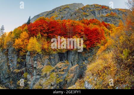 Herbstliche Bäume mit bunten Blättern auf felsigen Bergen Stockfoto