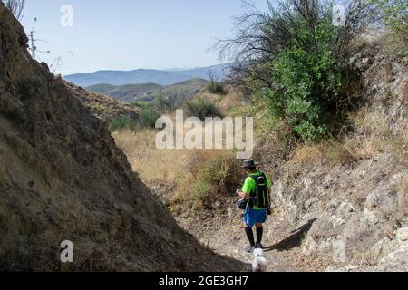 Wanderer wandern mit einem kleinen weißen maltesischen Hund auf einem Weg in der Alpujarra von Yegen entlang des Gerald Brenan genannten Weges mit Bergen im Hintergrund Stockfoto