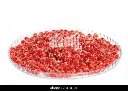 Viburnum in Zucker auf weißem Hintergrund Stockfoto