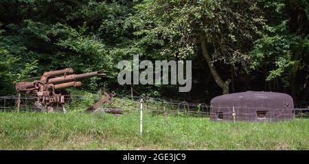 Kanone und Bunker bei Siegfried Line, Pirmasens, Rheinland-Pfalz, Deutschland Stockfoto