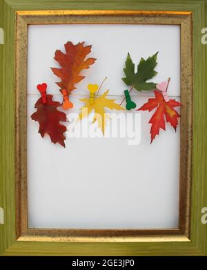 Herbststimmung. Bunte helle Herbstblätter aus Eiche und Ahorn auf weißem Hintergrund in einem Holzrahmen. Hallo, Herbst. Saisonal Stockfoto