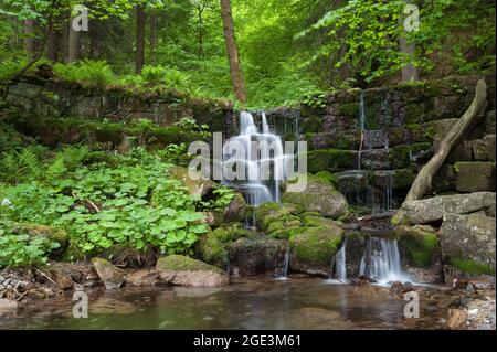 Kleiner Wasserfall in Kowary, Kreis Jelenia Góra, Woiwodschaft Niederschlesien, im Südwesten Polens Stockfoto