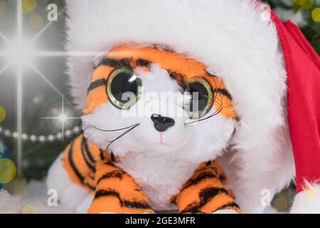 Ein Plüsch-Tiger-Junge in einem Weihnachtsmannhut ist ein Symbol des neuen Jahres 2022. Stockfoto