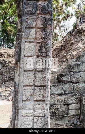 Maya-Hieroglyphen auf einer Stele an der archäologischen Stätte Copan, Honduras Stockfoto