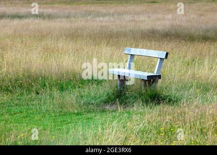 Eine einzige Bank im langen Gras im Richmond Park, England. Stockfoto