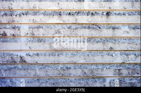 Schwarzer Schimmel auf Vinyl-Abstellgleis auf einem Missourk-Haus. Die Nordwand ist ein Brutplatz für die unansehnlichen Pilze. Stockfoto