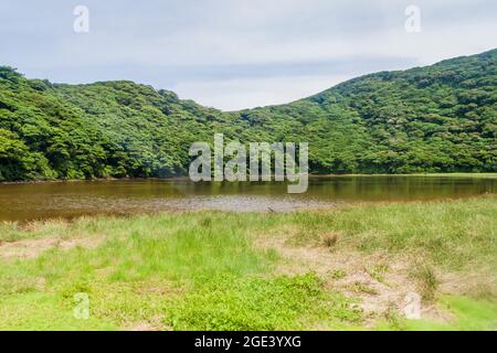 See in einem Krater des Vulkans Maderas auf der Insel Ometepe, Nicaragua Stockfoto