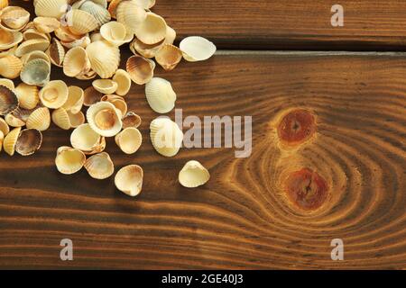 Muscheln auf hölzernen Hintergrund Stockfoto