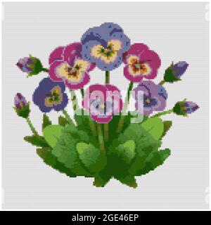 Stiefmütterchen blüht. Pansy blüht auf weiß. Ilustration von Kreuzstich Stickerei. Imitation von gestrickter Leinwandstruktur. Stoffdekor, schönes Kreuz Stockfoto