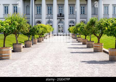 Der Eingang zum Anwesen ist mit Kieselsteinen auf der Straße und dekorativen Bäumen an den Seiten, Säulen eines großen Hauses im Hintergrund gesäumt. Stockfoto