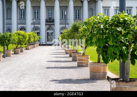 Der Eingang zum Anwesen ist mit Kieselsteinen auf der Straße und dekorativen Bäumen an den Seiten, Säulen eines großen Hauses im Hintergrund gesäumt. Stockfoto