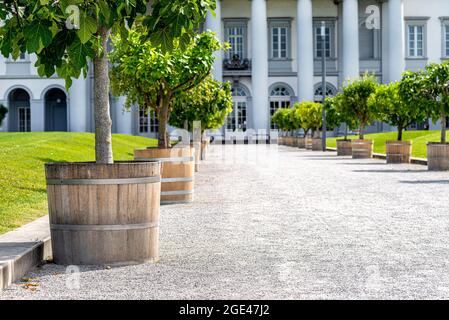 Der Eingang zum Anwesen ist mit Kieselsteinen auf der Straße und dekorativen Bäumen an den Seiten, Säulen eines großen Hauses im Hintergrund gesäumt. Stockfoto