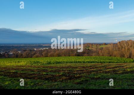 Blick von Vormberg über die Felder auf Sinzheim und Kartung Stockfoto