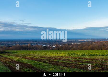 Blick von Vormberg über die Felder auf Sinzheim und Kartung Stockfoto