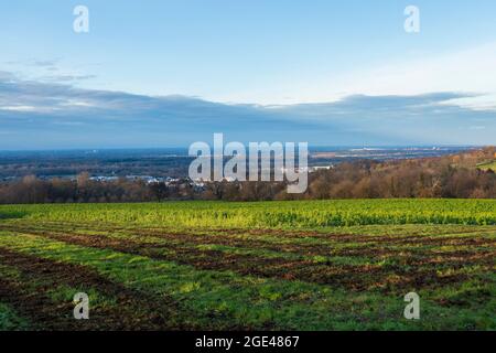 Blick von Vormberg über die Felder auf Sinzheim und Kartung Stockfoto