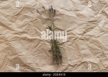 Getrocknete Lavendel-Zweige auf zerknittertem Kraftpapier. Hintergrund für einen Blumenladen, Website, im rustikalen Stil. Eco Lifestyle Konzept mit organischen Materialien. Stockfoto