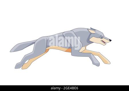 Grauer Wolf läuft seiner Beute hinterher. Cartoon-Charakter eines gefährlichen Säugetier Tier. Ein wildes Waldgeschöpf mit weißem Fell. Seitenansicht. Vektor flach Stock Vektor