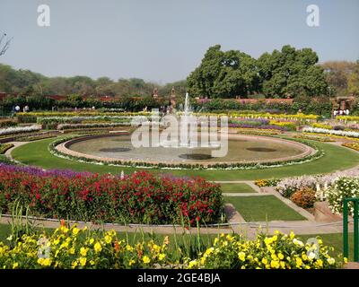 Schöne Blumen blühen im Garten zu Beginn des Herbstes im Präsidentenhaus Indiens, Mughal Garten Stockfoto