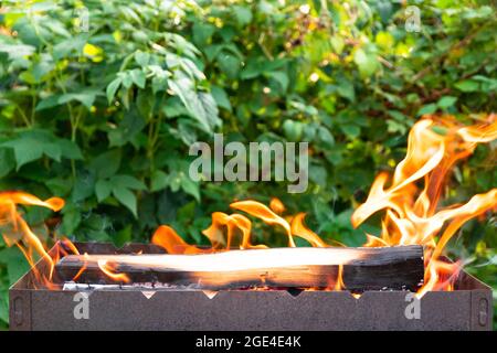 Metall-Brazier mit brennendem Feuerholz in der Natur vor dem Hintergrund von grünem Laub an einem hellen Sommersonntag. Lagerfeuer mit roten Flammen. Selektiv Stockfoto