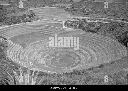 Alte landwirtschaftliche Terrassen von Moray, gelegen im Heiligen Tal der Inkas, Cusco Region, Peru in Monochrome Stockfoto