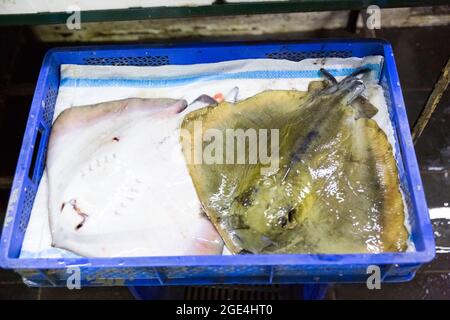 Markt für frische Meeresfrüchte in Batumi Georgia. Lebender Fisch im Eis. Stockfoto