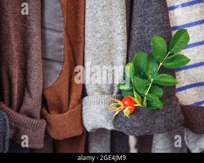 Herbst- und Winterkleidung hängt an Kleiderbügeln in der Garderobe. Keine Leute, Nahaufnahme. Konzept von Schönheit und Mode Stockfoto