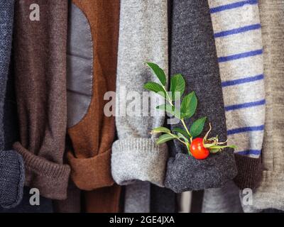 Herbst- und Winterkleidung hängt an Kleiderbügeln in der Garderobe. Keine Leute, Nahaufnahme. Konzept von Schönheit und Mode Stockfoto