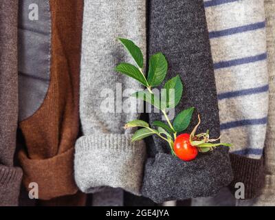 Herbst- und Winterkleidung hängt an Kleiderbügeln in der Garderobe. Keine Leute, Nahaufnahme. Konzept von Schönheit und Mode Stockfoto