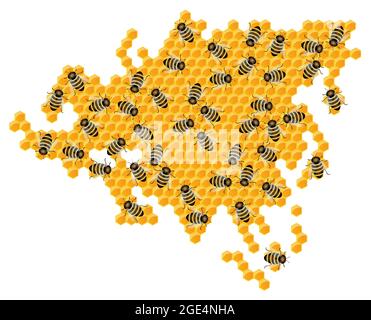 Vektorbild der Umrisse der Kontinente und Kontinente in Form von Waben. Das Konzept der Entwicklung in verschiedenen Bereichen innerhalb der Zählung Stock Vektor