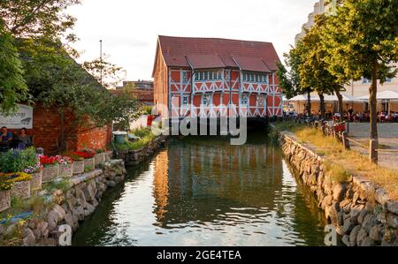 Wismar, Deutschland - 12. Juli 2021: Blumen vor dem Mühlenbach und dem alten berühmten Gebäude Mühlenbach in Wismar. Stockfoto