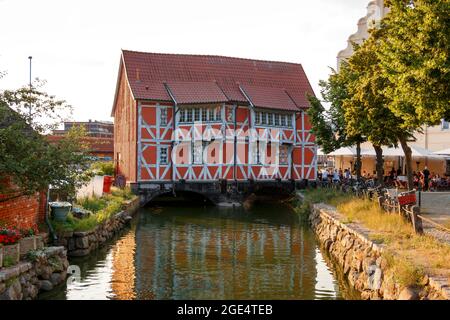 Wismar, Deutschland - 12. Juli 2021: Blumen vor dem Mühlenbach und dem alten berühmten Gebäude Mühlenbach in Wismar. Stockfoto