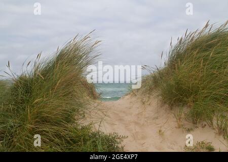 Kleiner Pfad über die Dünen, überwuchert mit Marram Gras, zum Meer Stockfoto