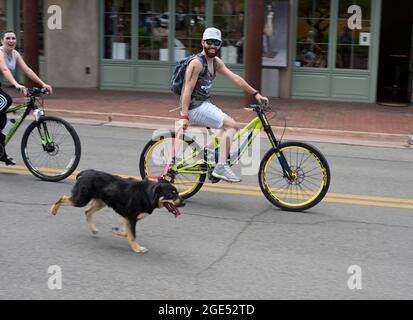 Ein Mann läuft oder läuft mit seinem leerenen Hund, während er mit dem Fahrrad eine Straße in der Innenstadt von Santa Fe, New Mexico, entlang fährt. Stockfoto