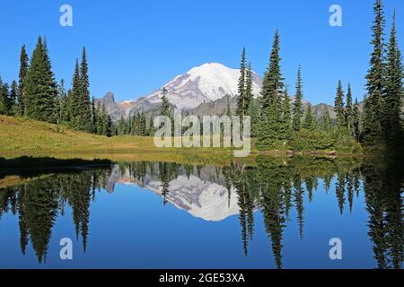 Reflektion im Upper Tipsoo Lake - Mount Rainier - Washington Stockfoto