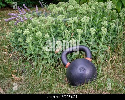 Schwere eiserne Kugelhantel auf grünem Gras in einem Hinterhof - Fitnesskonzept im Freien Stockfoto