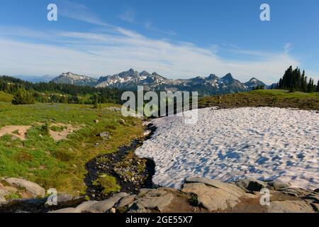 Blick auf die Tatoosh Range vom Skyline Trail im Paradise in Mt. Rainier National Park im Staat Washington, USA. Stockfoto