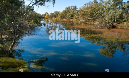 Sonniger Frühlingstag, Andruco Lagoon, stromaufwärts von Wentworth, NSW, Australien Stockfoto