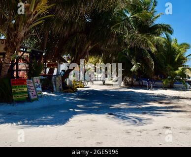Der Strand liegt direkt vor Ihnen, wenn Sie mit der Fähre auf Caye Caulker, Belize, ankommen Stockfoto