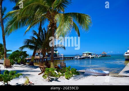 Ein heller, sonniger Tag mit klarem blauen Himmel und ruhigem, klarem Wasser auf Caye Caulker, Belize Stockfoto