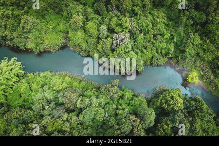 Luftaufnahme Flusswald Natur Waldgebiet grüner Baum, Draufsicht Fluss Lagune Teich mit blauem Wasser von oben, Vogelperspektive grünen Wald schön Stockfoto