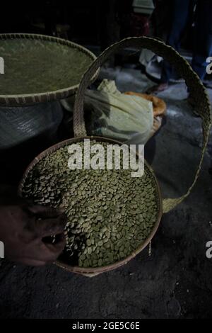 Entgeröstete Kaffeebohnen bei einem Kaffeeverarbeiter und Kaffeeanbieter von Toraja-Kaffee in Rantepao, Nord-Toraja, Süd-Sulawesi, Indonesien. Die tropischen Böden, die Kaffee zu Hause nennt, sind natürlich sauer und enthalten wenig Mineralien wie Kalzium und Magnesium, wie eine Veröffentlichung in AZO Life Sciences am 12. August 2021 enthüllt hat. Die Zugabe von Dünger zu den Böden trägt zu seiner Säure bei. Das alles führt zu geringeren Erträgen für Kaffeepflanzen. Stockfoto