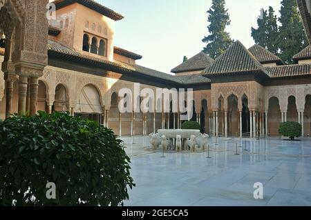 Patio de los Leones , Alhambra, Granada, Spanien, Europa Stockfoto