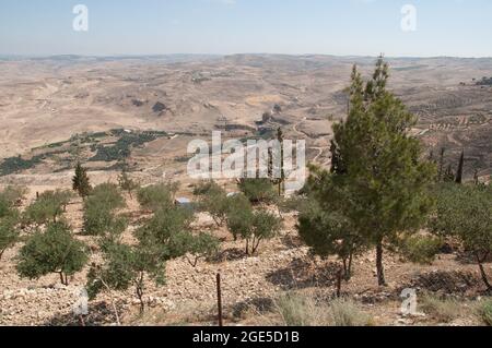 Blick vom Mount Nebo, Jordanien, Naher Osten. Wenig Vegetation, trockenes Land. Moses soll das gelobte Land von hier aus gesehen haben, aber nie angekommen sein. Stockfoto