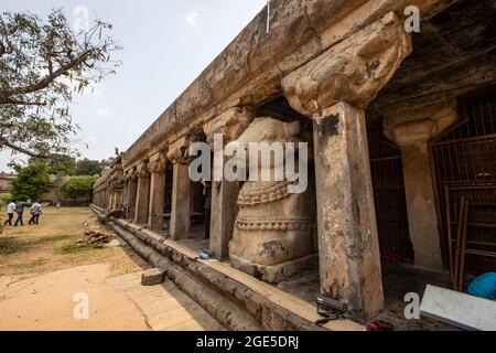 Raja Raja Cholas alte Nandi-Statue im Brihadeeswara-Tempel, Thanjavur Stockfoto