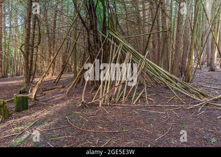 Canadian Forest Trail Ontario Kanada im Sommer Stockfoto