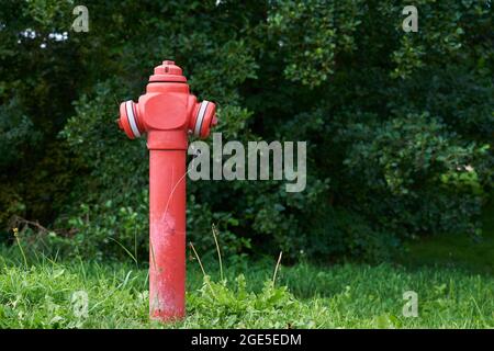 Roter Hydrant im Stadtpark, Nahaufnahme. Vorbeugende Maßnahmen gegen Stadtbrände Stockfoto