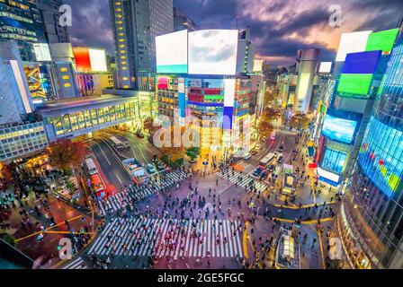 Shibuya Crossing von oben in der Dämmerung in Tokio, Japan Stockfoto