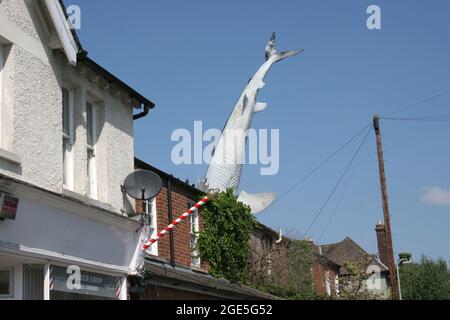 Bill Heine's Shark in einer Dachstatue in Headington, Oxford, Großbritannien Stockfoto